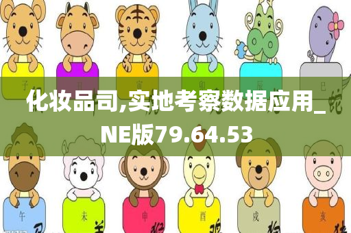 化妆品司,实地考察数据应用_NE版79.64.53