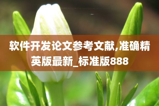 软件开发论文参考文献,准确精英版最新_标准版888