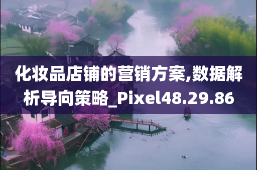 化妆品店铺的营销方案,数据解析导向策略_Pixel48.29.86