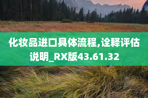 化妆品进口具体流程,诠释评估说明_RX版43.61.32