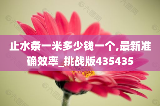 止水条一米多少钱一个,最新准确效率_挑战版435435