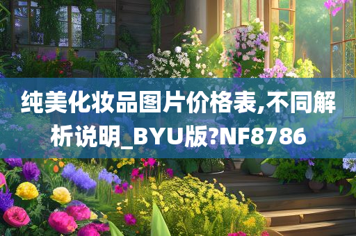 纯美化妆品图片价格表,不同解析说明_BYU版?NF8786