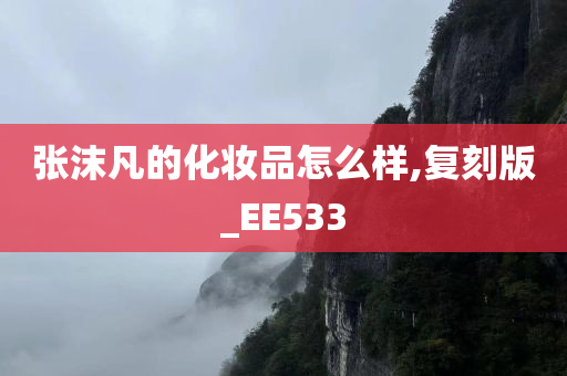 张沫凡的化妆品怎么样,复刻版_EE533