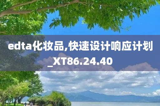 edta化妆品,快速设计响应计划_XT86.24.40