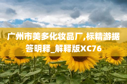 广州市美多化妆品厂,标精游据答明释_解释版XC76