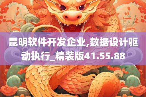 昆明软件开发企业,数据设计驱动执行_精装版41.55.88