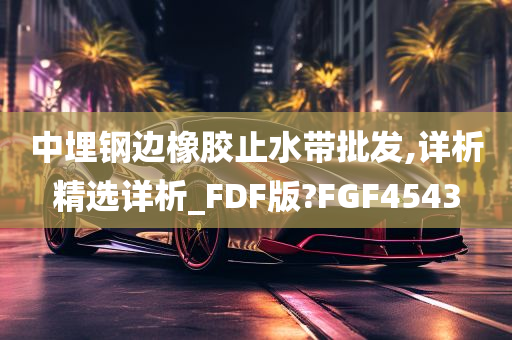 中埋钢边橡胶止水带批发,详析精选详析_FDF版?FGF4543