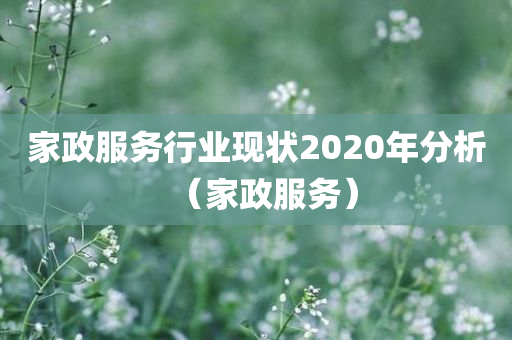 家政服务行业现状2020年分析（家政服务）