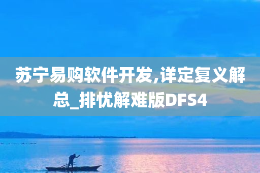 苏宁易购软件开发,详定复义解总_排忧解难版DFS4