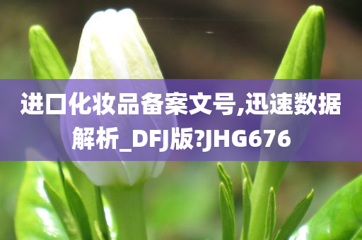 进口化妆品备案文号,迅速数据解析_DFJ版?JHG676