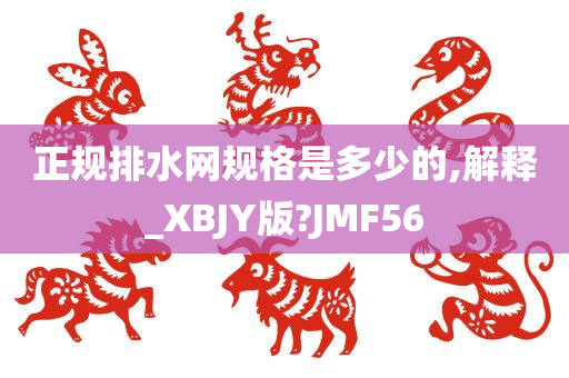 正规排水网规格是多少的,解释_XBJY版?JMF56