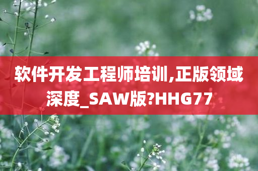 软件开发工程师培训,正版领域深度_SAW版?HHG77