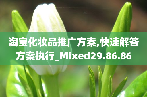 淘宝化妆品推广方案,快速解答方案执行_Mixed29.86.86