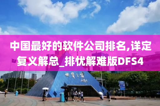 中国最好的软件公司排名,详定复义解总_排忧解难版DFS4