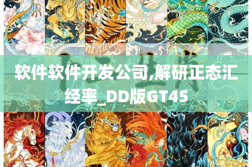 软件软件开发公司,解研正态汇经率_DD版GT45