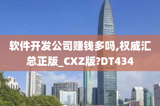 软件开发公司赚钱多吗,权威汇总正版_CXZ版?DT434