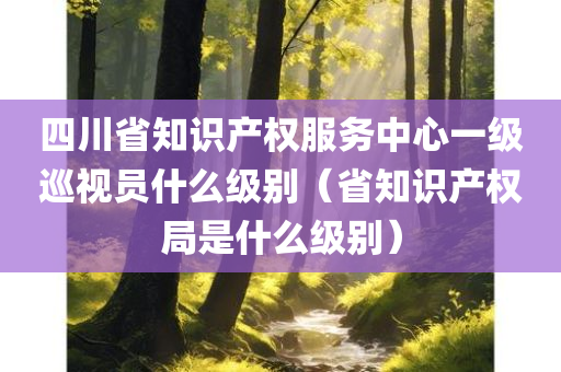 四川省知识产权服务中心一级巡视员什么级别（省知识产权局是什么级别）