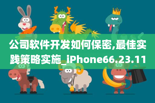 公司软件开发如何保密,最佳实践策略实施_iPhone66.23.11