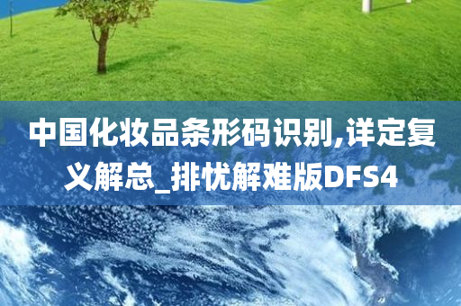 中国化妆品条形码识别,详定复义解总_排忧解难版DFS4