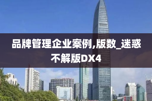 品牌管理企业案例,版数_迷惑不解版DX4