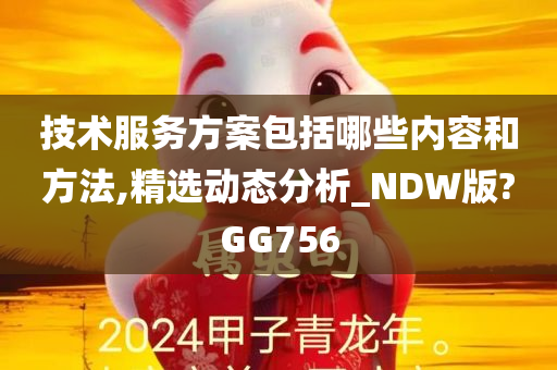 技术服务方案包括哪些内容和方法,精选动态分析_NDW版?GG756