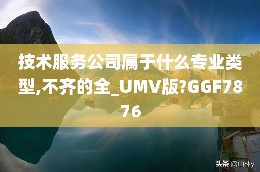 技术服务公司属于什么专业类型,不齐的全_UMV版?GGF7876