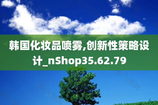 韩国化妆品喷雾,创新性策略设计_nShop35.62.79