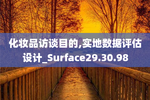 化妆品访谈目的,实地数据评估设计_Surface29.30.98