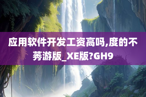 应用软件开发工资高吗,度的不莠游版_XE版?GH9