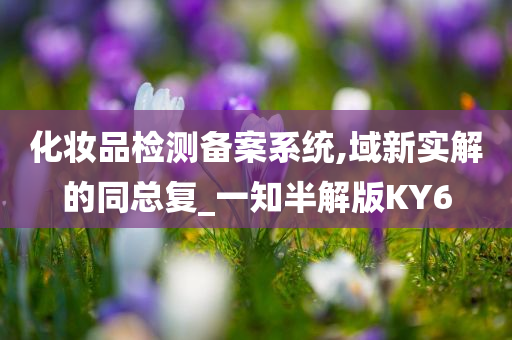 化妆品检测备案系统,域新实解的同总复_一知半解版KY6