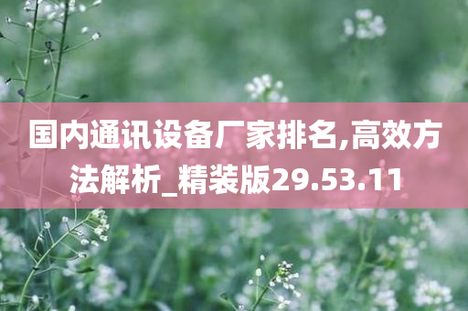 国内通讯设备厂家排名,高效方法解析_精装版29.53.11