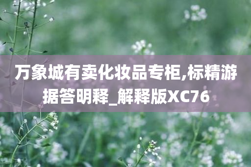 万象城有卖化妆品专柜,标精游据答明释_解释版XC76