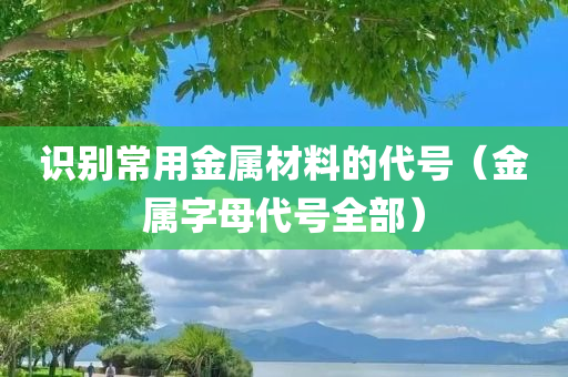 识别常用金属材料的代号（金属字母代号全部）