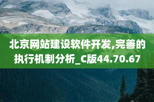 北京网站建设软件开发,完善的执行机制分析_C版44.70.67