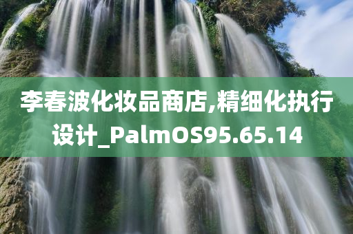 李春波化妆品商店,精细化执行设计_PalmOS95.65.14