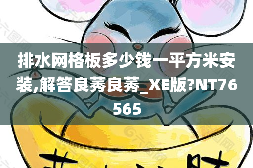 排水网格板多少钱一平方米安装,解答良莠良莠_XE版?NT76565