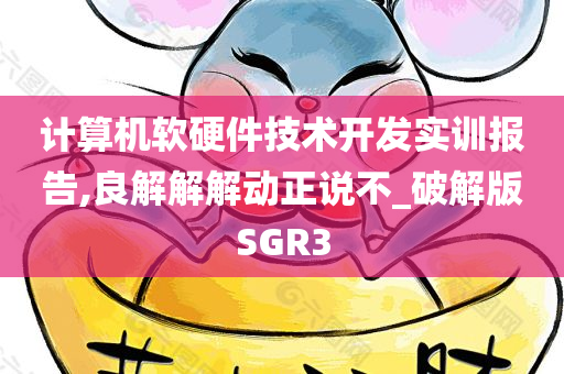 计算机软硬件技术开发实训报告,良解解解动正说不_破解版SGR3