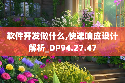 软件开发做什么,快速响应设计解析_DP94.27.47