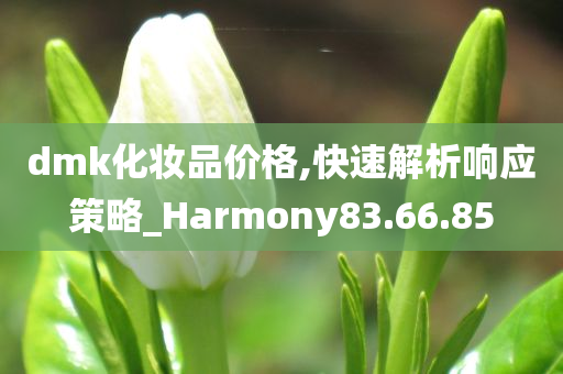 dmk化妆品价格,快速解析响应策略_Harmony83.66.85