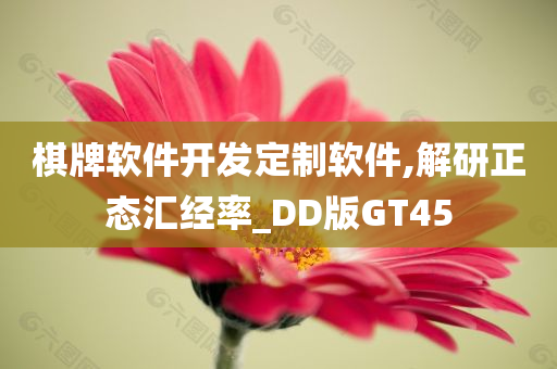 棋牌软件开发定制软件,解研正态汇经率_DD版GT45