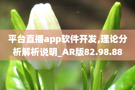 平台直播app软件开发,理论分析解析说明_AR版82.98.88